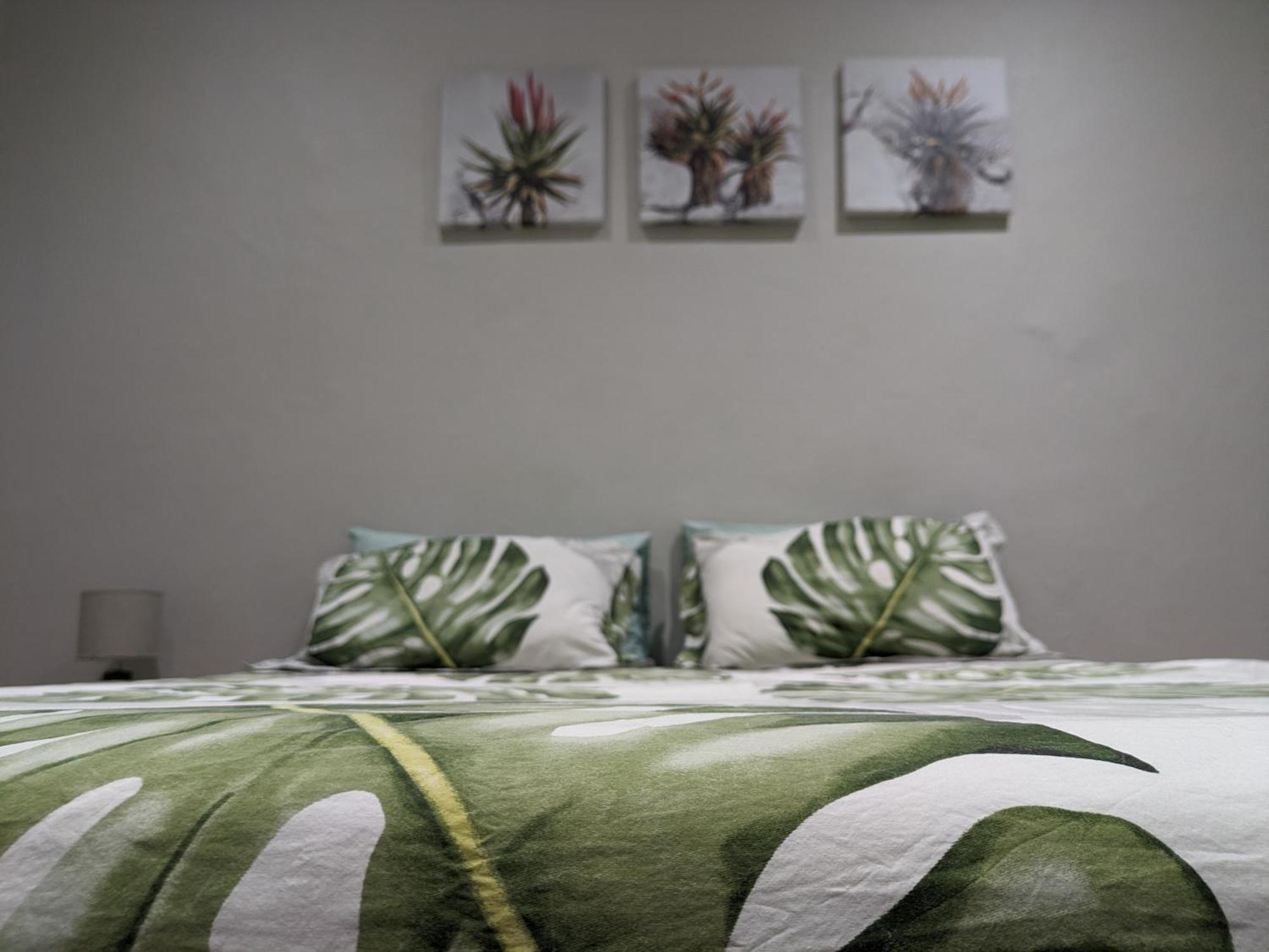 Amapondo Otel Port Saint Johnʼs Dış mekan fotoğraf